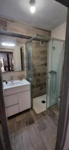 a bathroom with a shower and a sink and a mirror at La Casa del Obispo in Caleruega