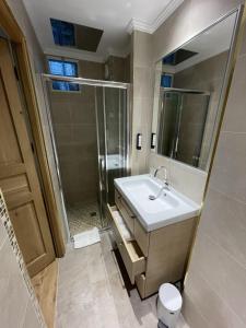 a bathroom with a sink and a shower at Les Rebelles in Paris