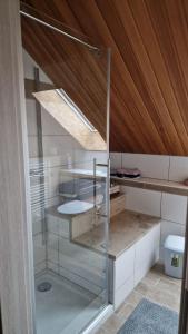a glass shower in a bathroom with a wooden ceiling at FeWo 1 Rolf Koglin in Gunzenhausen