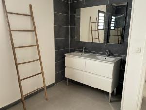 ein Badezimmer mit einer Leiter, einem Waschbecken und einem Spiegel in der Unterkunft Villa de 3 chambres avec jardin clos et wifi a Bras Panon in Bras-Panon