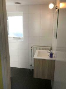een badkamer met een wastafel en een raam bij De Hazeldonck in Gemert