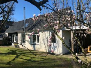 een huis met een bloeiende boom ervoor bij De Hazeldonck in Gemert