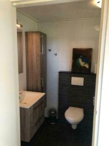 een badkamer met een toilet en een wastafel bij De Hazeldonck in Gemert