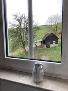 un vase assis sur un rebord de fenêtre avec vue sur une grange dans l'établissement Ferienwohnung am alten Backhaus, à Bad Berleburg