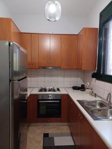 a kitchen with wooden cabinets and a stainless steel refrigerator at Σπίτι με θέα 