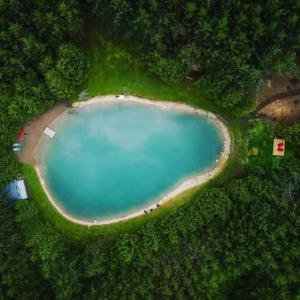 una vista aérea de una piscina de agua en un bosque en A rustic cabin in the woods, en Orangeville