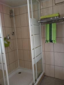 uma casa de banho com um chuveiro e uma toalha verde em Petite Fleur de Lentilles 2 em Cilaos