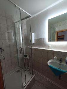 uma casa de banho com um chuveiro e um lavatório. em Ferienwohnung Wettin em Wettin