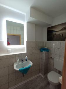 baño con lavabo y aseo y ventana en Ferienwohnung Wettin en Wettin