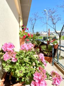 a bunch of pink flowers sitting on a balcony at Zenit Luxury Marina Village Appartement in Olhão
