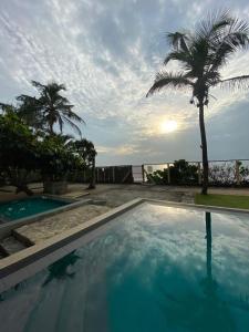 a swimming pool with a palm tree and the ocean at Reef Bungalow Hotel in Pamunugama