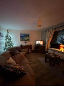 a living room with a christmas tree and a couch at Rosie's Cottage in Moville