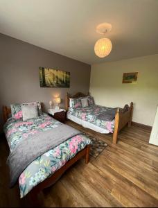 a bedroom with two beds and a lamp at Rosie's Cottage in Moville