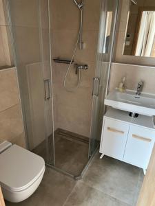 uma casa de banho com um chuveiro, um WC e um lavatório. em Apartmán Kubínska 33 em Dolný Kubín