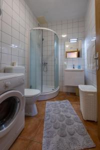 a bathroom with a shower toilet and a washing machine at Apartments Jele in Zavala