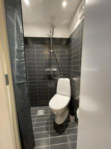 a bathroom with a toilet and a shower at Studio Apartment in the heart of Aalborg in Aalborg