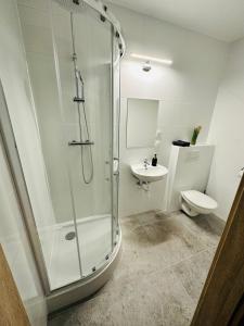 een badkamer met een douche, een toilet en een wastafel bij Apartamenty Route 65 