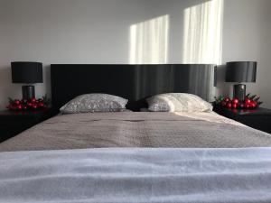 a bedroom with a large bed with two pillows at Upes apartamenti Nr: 32 in Valmiera