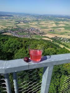 un verre de vin assis au-dessus d'un rail dans l'établissement Blick ins Wutachtal, à Wutöschingen