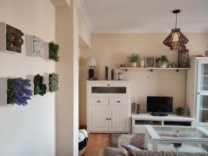 a living room with a couch and a tv in it at Piso Prol in Ourense