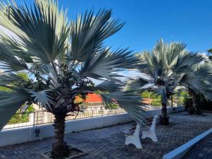 Imagine din galeria proprietății Studio Apartment Volterra Curacao în Willemstad