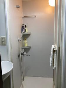 Koupelna v ubytování GreenHotel