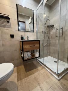 Pokoje Beata tesisinde bir banyo