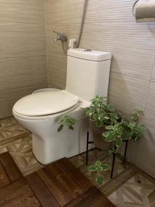 イロイロにあるBalai Lawaan Cozy Homestayの白いトイレ(植物付きバスルーム内)