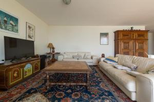 Μια τηλεόραση ή/και κέντρο ψυχαγωγίας στο Lakeside-Apartment-1 Grand appartement familial avec 2 terrasses et vue panoramique
