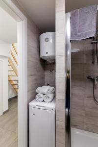 a bathroom with a washer and dryer and a toilet at Studia przy lotnisku od WroclawApartament-pl in Wrocław
