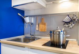 een keuken met een wastafel en een pot op een aanrecht bij Appartamento Blu a Milano zona Ripamonti vicino allo IEO in Milaan