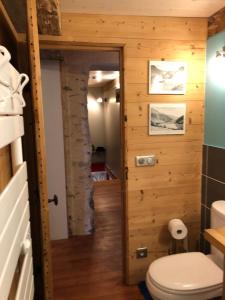 a bathroom with a toilet in a room at Les gîtes du Mistouflon in Planay