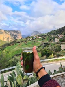 المناظر الطبيعية بالقرب من مكان التخييم