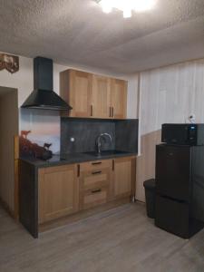 a kitchen with a sink and a refrigerator at Le Perce Neige in Vaujany