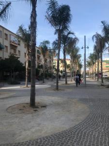 a group of palm trees on a street at Victoria Hospedaje in Alicante