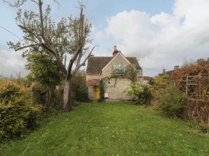 ein altes Steinhaus mit einem Baum im Hof in der Unterkunft Palmers Green Cottage in Taunton