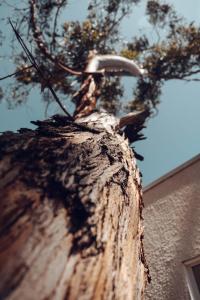 Afbeelding uit fotogalerij van De Peppino Cabañas in Papudo