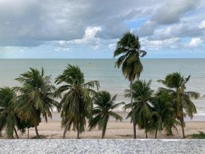 un grupo de palmeras en una playa con el océano en Flat Beira Mar do Cabo Branco Quarto com linda vista para o mar, en João Pessoa