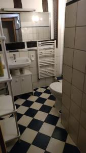 a bathroom with a toilet and a sink at Apartment Hofheimer Altstadt in Hofheim am Taunus