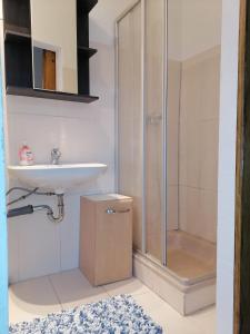 ein Badezimmer mit Waschbecken und Dusche in der Unterkunft Naab-burg in Nabburg