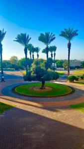 un parque con palmeras y un parque circular en יולי גולף en Caesarea