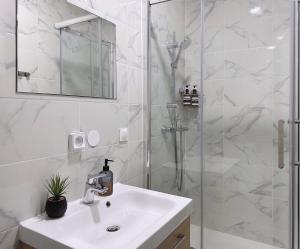 un bagno bianco con lavandino e doccia di ---The Century---Au Centre d'Annecy ad Annecy Altre 28 foto