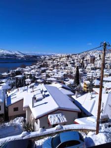 una ciudad cubierta de nieve con casas y árboles en Belvedere garden en Kastoria