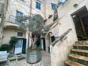 a tree in a pot next to a building at Residence Le Vie Del Mosto in Matera