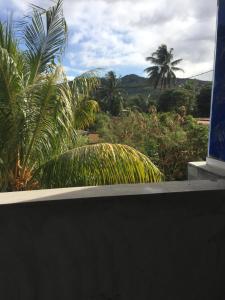 Elle offre une vue sur un jardin planté de palmiers. dans l'établissement tina house, à Bel Ombre