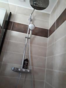 a shower with a shower head in a bathroom at Les écureuils bourguignons in Montchanin +21 photos