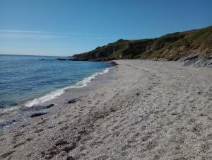 una playa con huellas en la arena y el agua en Quayside, en Porthscatho