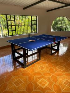 Villa Gabritali في لا ميسا: طاولة بينج بونغ زرقاء في غرفة مع نوافذ