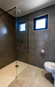 a bathroom with a shower and a toilet at Les Cottages de Ripaille in Thonon-les-Bains