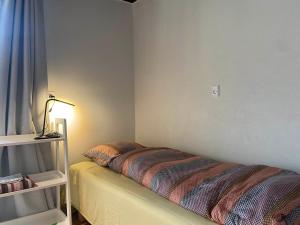 1 dormitorio con 1 cama con lámpara. en Tornby Guesthouse, en Hirtshals
